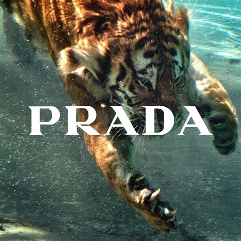 prada tiger